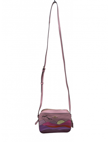 Crossbody Designer By Coach, Size: Small l'achat 