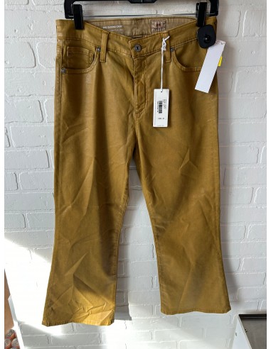 Pants Cropped By Adriano Goldschmied In Yellow, Size: 12 2023