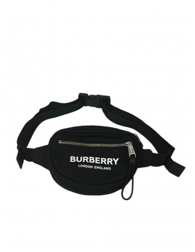 Belt Bag Luxury Designer By Burberry, Size: Small de technologie